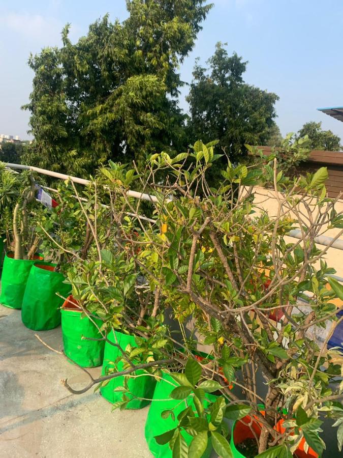 Bed & Chai Guesthouse New Delhi Ngoại thất bức ảnh
