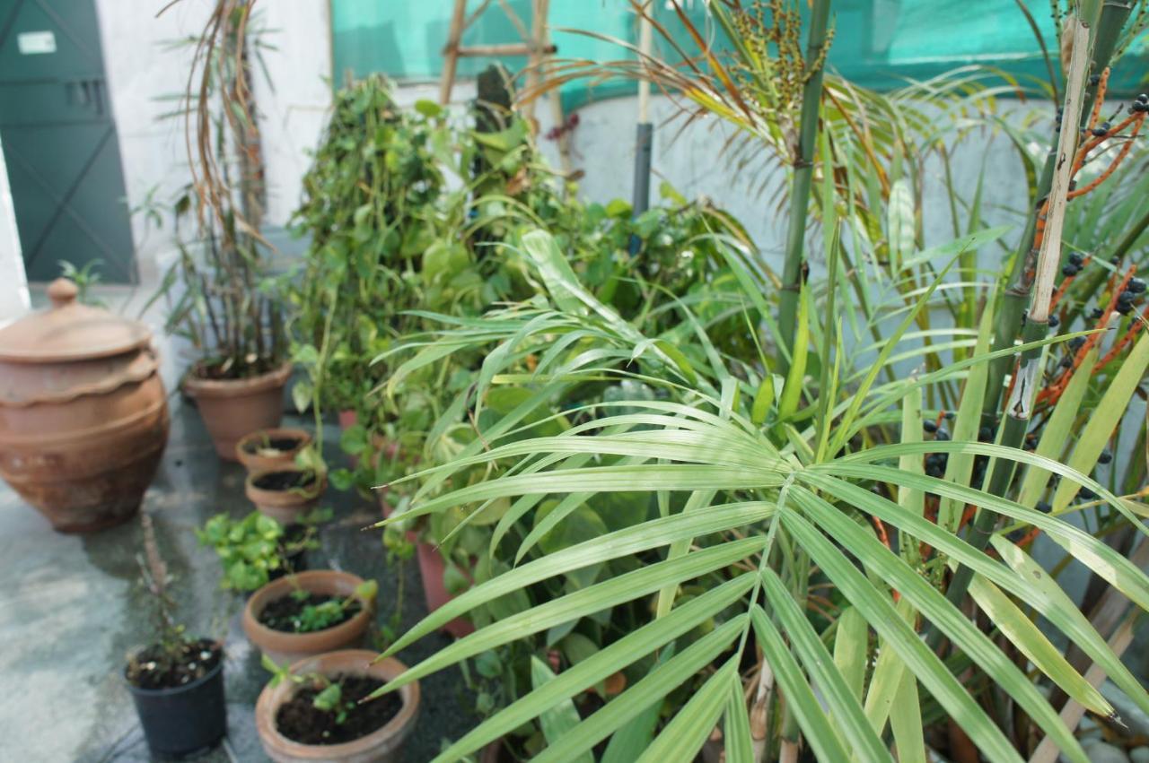 Bed & Chai Guesthouse New Delhi Ngoại thất bức ảnh
